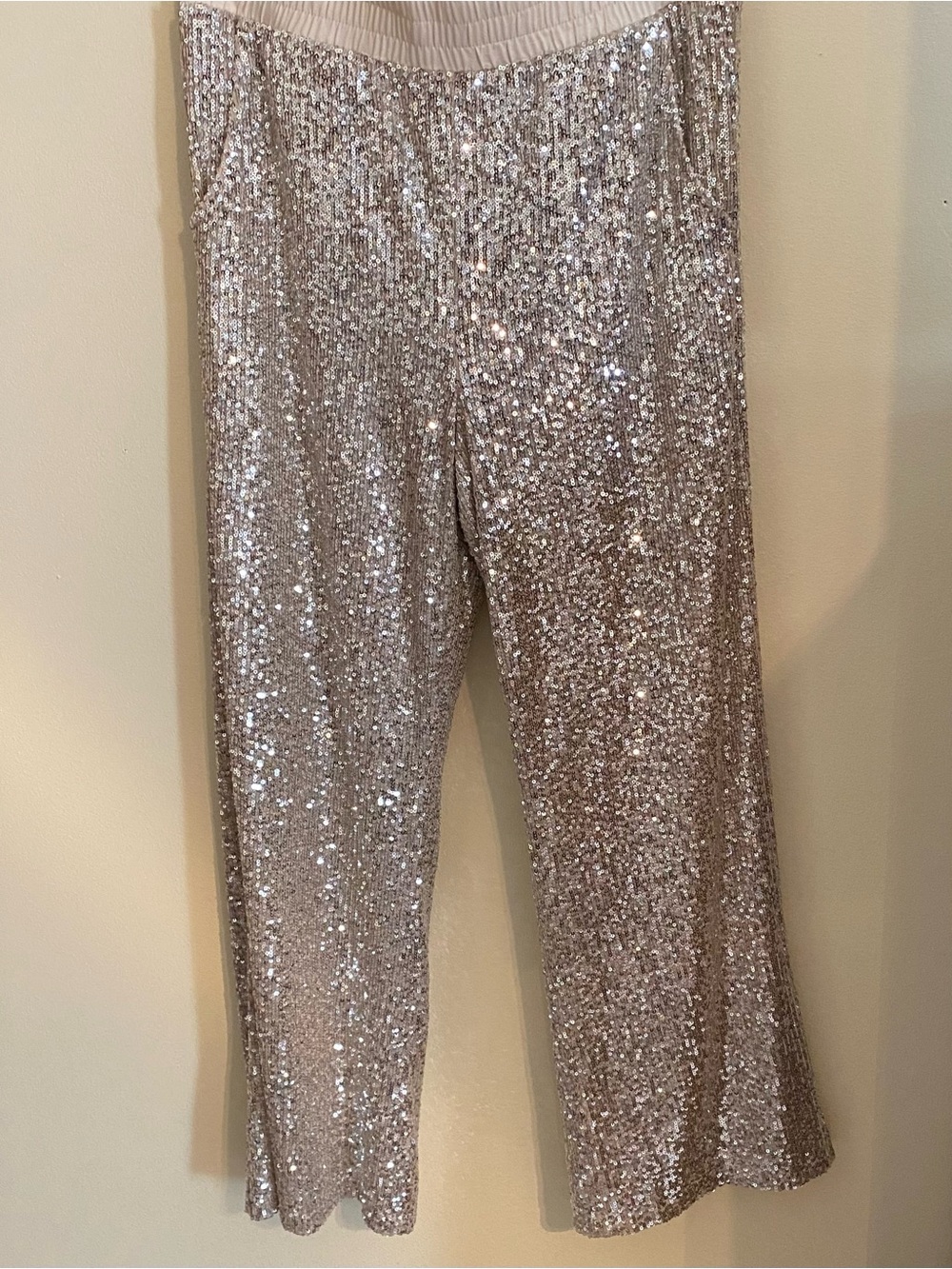 Boston Proper Champagne Sequin Wide-Leg Pull-On Pants
